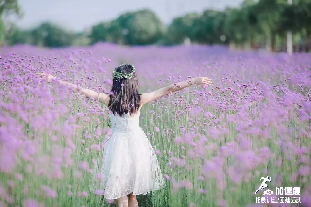 成(cheng)都團(tuán)建(jian)一(yi)日(ri)遊：龍泉蔚然花(huā)海