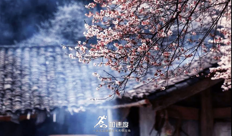 鶴鳴霧中(zhong)山(shān)賞花(huā)徒步 (2).jpg