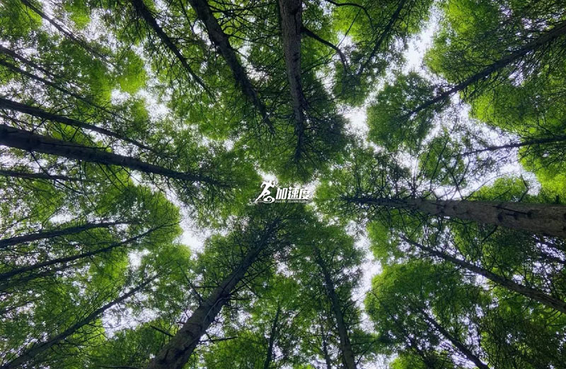 大(da)邑龍窩子(zi) (12).jpg