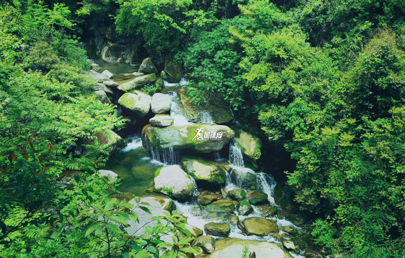 大(da)邑龍窩子(zi) (15).jpg
