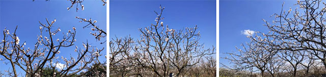“春遊踏青季,團(tuán)建(jian)收心時“山(shān)美特2018春季團(tuán)建(jian)活動(dòng)及(ji)場(chang)地推薦10.jpg